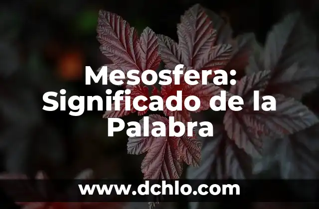 Milonga significado de la palabra 7 Mesosfera: Significado de la Palabra