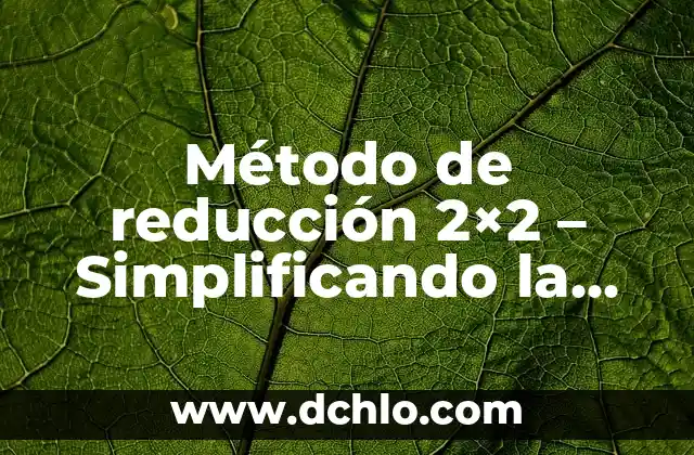 Significado de la Reducción de un Elemento 6 Método de reducción 2×2 – Simplificando la complejidad en la toma de decisiones