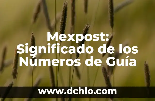 Menú Inicio de Excel: Guía Completa y Explicación 6 Mexpost: Significado de los Números de Guía