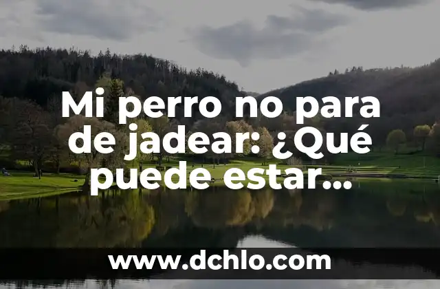 Tengo el ojo rojo pero no me duele: ¿Qué puede estar pasando? 6 Mi perro no para de jadear: ¿Qué puede estar pasando?
