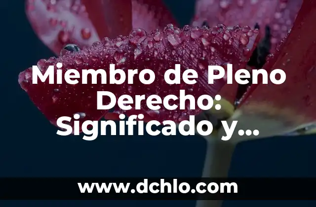 Mercados de Bienes y Servicios: Su Significado y Relevancia en la Economía Actual 6 Miembro de Pleno Derecho: Significado y Relevancia en Diferentes Contextos