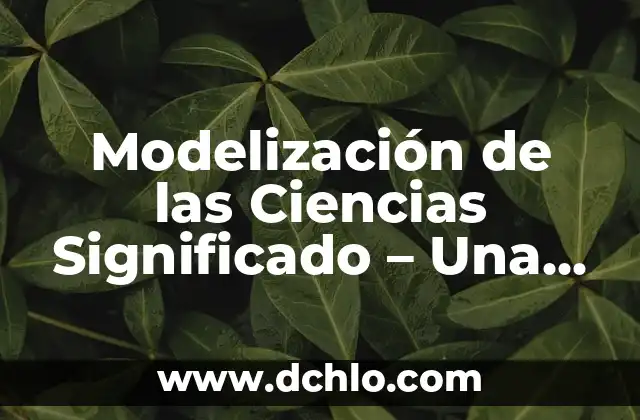 Vaya del Verbo Ir como se Escribe: Guía Completa y Detallada 5 Modelización de las Ciencias Significado – Una Guía Completa