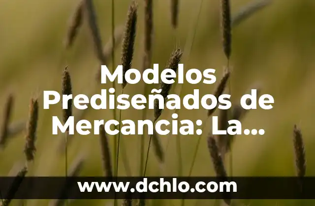 Modelos Prediseñados de Mercancia: La Revolución en el Diseño de Productos