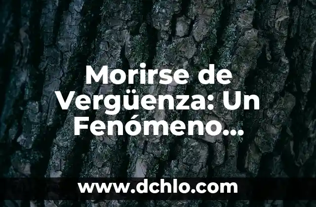 El Disfraz de Charro Negro: Un Icono Cultural 4 Morirse de Vergüenza: Un Fenómeno Cultural y Psicológico