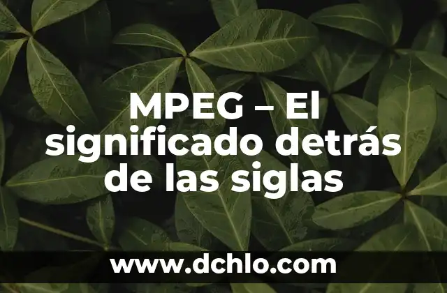 MPEG - El significado detrás de las siglas