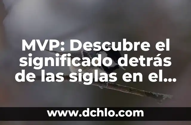 MPEG - El significado detrás de las siglas 5 MVP: Descubre el significado detrás de las siglas en el mundo empresarial y tecnológico