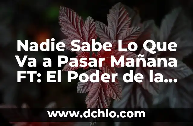 Significado y sinónimos de incertidumbre: Comprensión y contexto 5 Nadie Sabe Lo Que Va a Pasar Mañana FT: El Poder de la Incertidumbre
