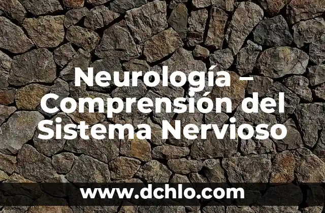 Meninges - Significado y Función en el Sistema Nervioso 3 Neurología – Comprensión del Sistema Nervioso