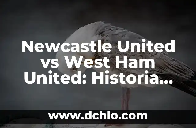 Horarios de los partidos de Primera División - Fútbol en Directo 5 Newcastle United vs West Ham United: Historia, Estadísticas y Análisis del Clásico del Fútbol Inglés