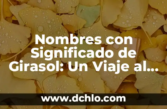 El significado profundo de la fe: Un viaje espiritual 6 Nombres con Significado de Girasol: Un Viaje al Sol