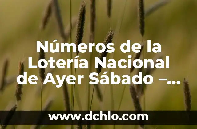El Significado del Sábado 5 Números de la Lotería Nacional de Ayer Sábado – Resultados y Análisis