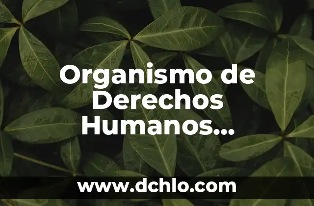 Velador de los Derechos Significado 7 Organismo de Derechos Humanos Significado