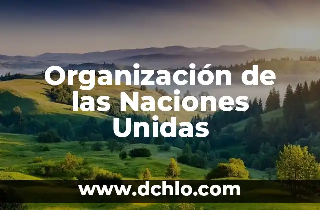 Significado de Varias Manos Unidas 6 Organización de las Naciones Unidas