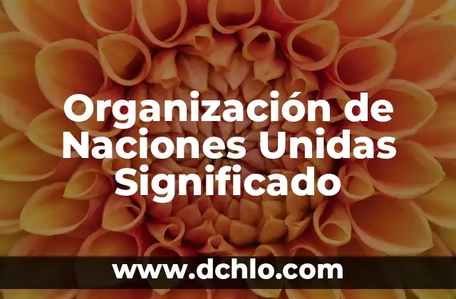 Significado de Varias Manos Unidas 5 Organización de Naciones Unidas Significado