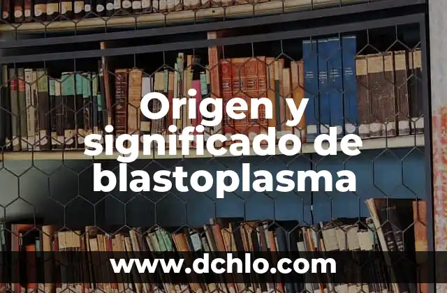 Significado de Wi-Fi en Español 8 Origen y significado de blastoplasma
