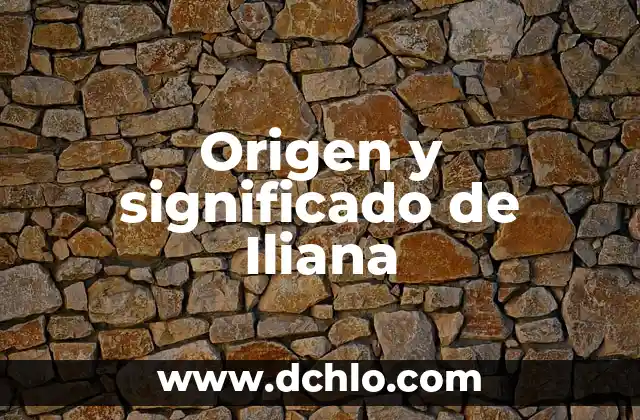FYI Significado de las Siglas 5 Origen y significado de Iliana