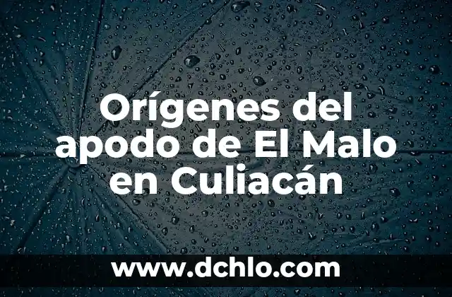 ¿Es cierto que el huevo es malo para la vesícula? 7 Orígenes del apodo de El Malo en Culiacán