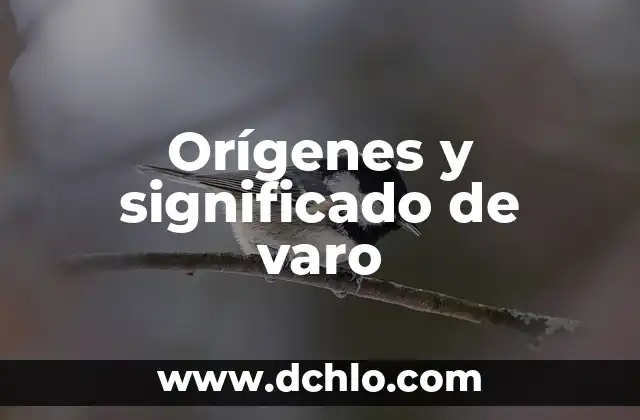 Artesanías de Veracruz y su Significado 5 Orígenes y significado de varo