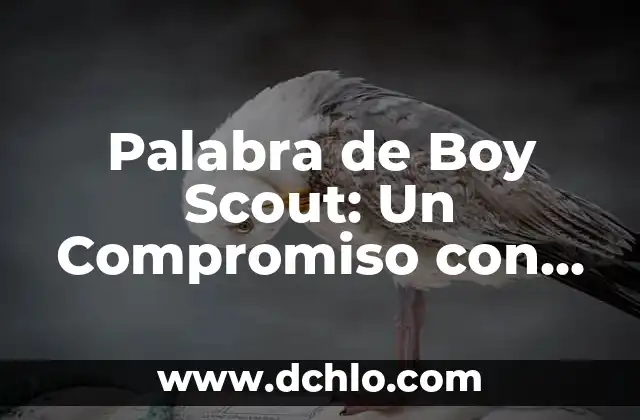 Tatuajes de Amigas: Símbolos de Amistad y Compromiso 5 Palabra de Boy Scout: Un Compromiso con Valores