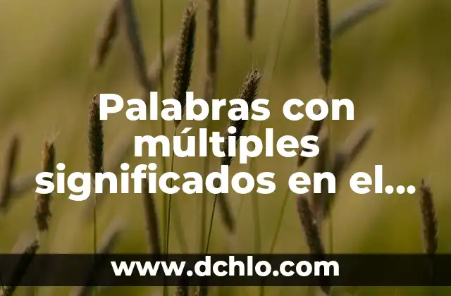 Homógrafas: El Fascinante Mundo de las Palabras con Múltiples Significados 7 Palabras con múltiples significados en el contexto de los bienes