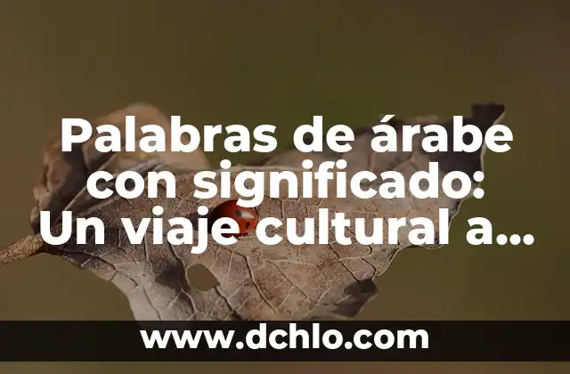 Palabras de árabe con significado: Un viaje cultural a través del lenguaje