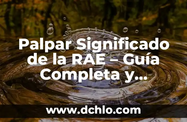 Miembro significado de la RAE 7 Palpar Significado de la RAE – Guía Completa y Detallada