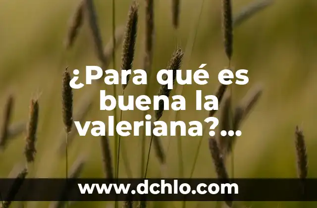 ¿Es buena la avena para adelgazar? 4 ¿Para qué es buena la valeriana? Propiedades y beneficios naturales