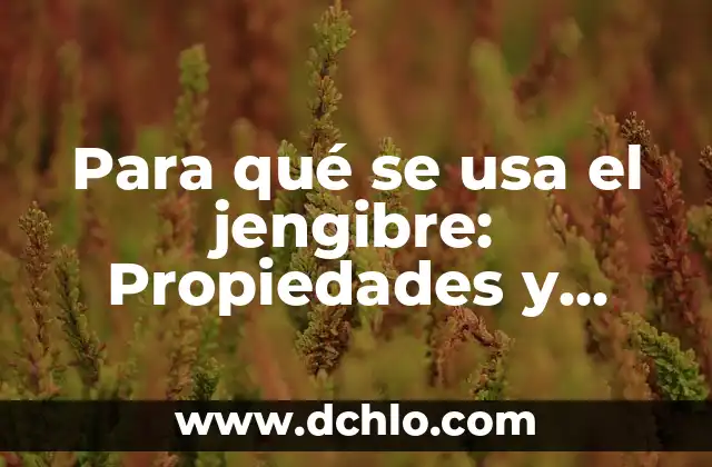 La Vitamina B12 para qué sirve: Descubre sus beneficios y importancia 8 Para qué se usa el jengibre: Propiedades y Beneficios para la Salud