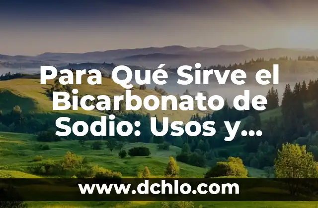 ¿Para qué sirve la semilla de chia? - Beneficios y usos de la semilla de chia 5 Para Qué Sirve el Bicarbonato de Sodio: Usos y Beneficios