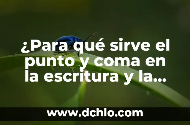 ¿Para qué sirve la semilla de chia? - Beneficios y usos de la semilla de chia 4 ¿Para qué sirve el punto y coma en la escritura y la gramática?