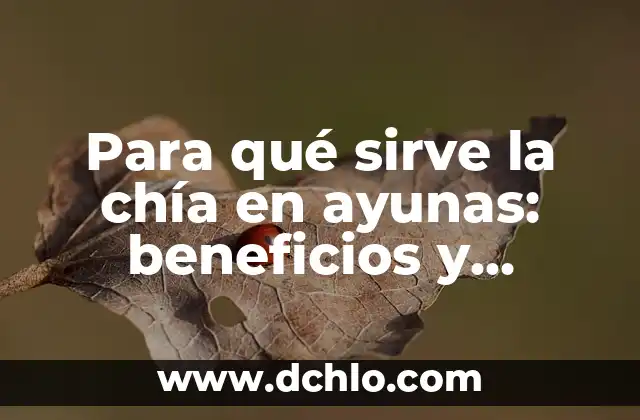 Cómo hacer germinados de chia 4 Para qué sirve la chía en ayunas: beneficios y propiedades