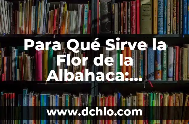 Significado de sentir olor a albahaca 6 Para Qué Sirve la Flor de la Albahaca: Descubre sus Propiedades y Beneficios