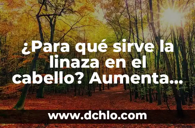 Cabello significado de apellido 8 ¿Para qué sirve la linaza en el cabello? Aumenta el crecimiento y la salud capilar