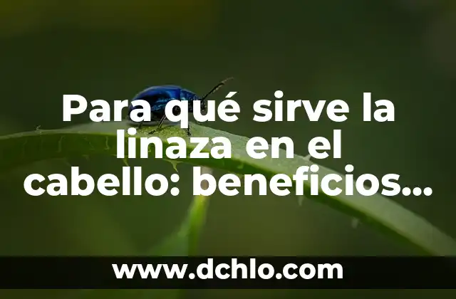 ¿Para qué sirve la linaza en el cabello? Aumenta el crecimiento y la salud capilar 3 Para qué sirve la linaza en el cabello: beneficios y usos