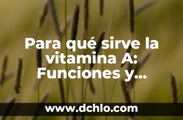 Para qué sirve la chía en ayunas: beneficios y propiedades 8 Para qué sirve la vitamina A: Funciones y beneficios esenciales