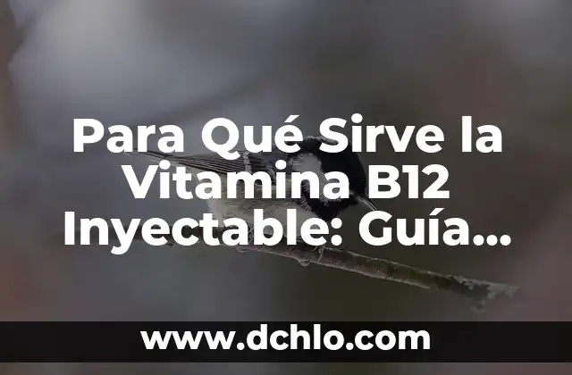 ¿Para qué sirve la semilla de chia? - Beneficios y usos de la semilla de chia 7 Para Qué Sirve la Vitamina B12 Inyectable: Guía Completa y Detallada