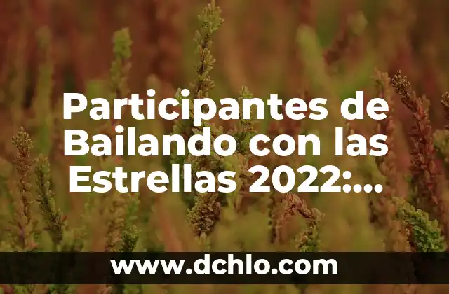 Como Hacer una Pista de Carros Eléctricos Casera 6 Participantes de Bailando con las Estrellas 2022: Conoce a los Famosos que Se Unen a la Pista de Baile
