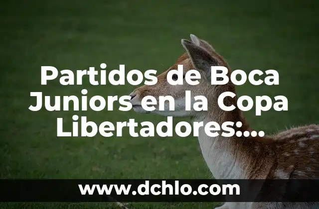 Dónde Ver Final Copa del Rey en Vivo y en Directo 6 Partidos de Boca Juniors en la Copa Libertadores: Resultados y Estadísticas