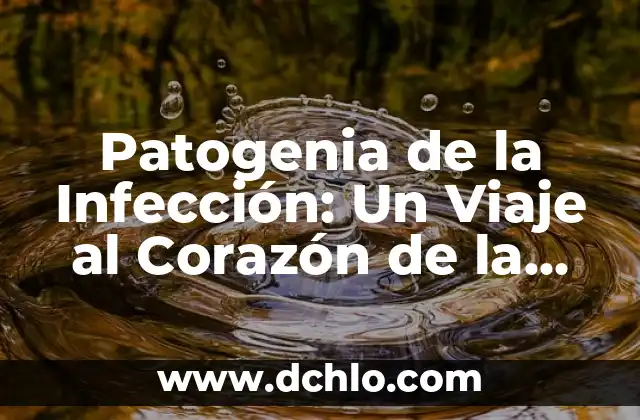 Qué puedo tomar para la infección urinaria: Tratamiento y Prevención 3 Patogenia de la Infección: Un Viaje al Corazón de la Enfermedad