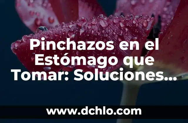 Qué Hacer Si Tienes Muchos Gases: Soluciones y Remedios Naturales 8 Pinchazos en el Estómago que Tomar: Soluciones y Remedios Naturales