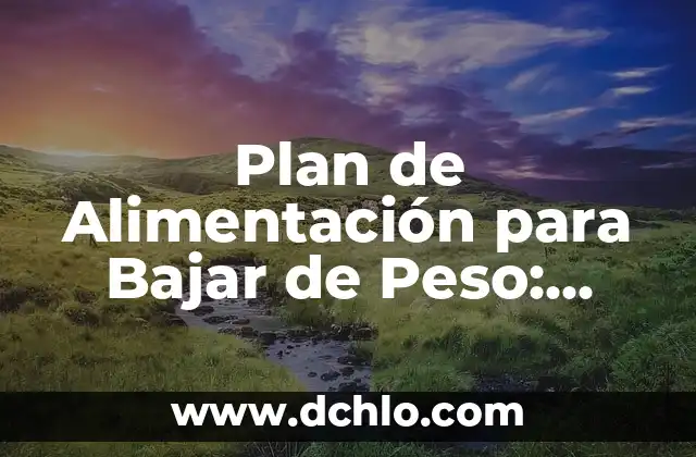 Cuántas kcal debo consumir al día para bajar de peso: Una guía detallada 5 Plan de Alimentación para Bajar de Peso: Guía Completa y Efectiva