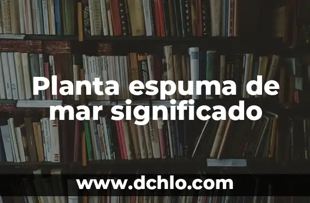 Como hacer olas de mar con cartulina 3 Planta espuma de mar significado