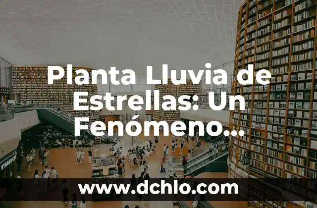 El Palito de la Ñ: Un Símbolo Lingüístico Único 4 Planta Lluvia de Estrellas: Un Fenómeno Celestial Único