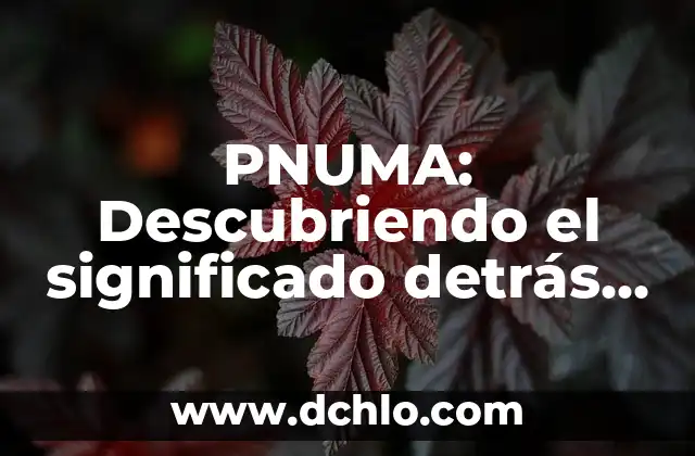 Plush significado de la canción 7 PNUMA: Descubriendo el significado detrás de la sigla