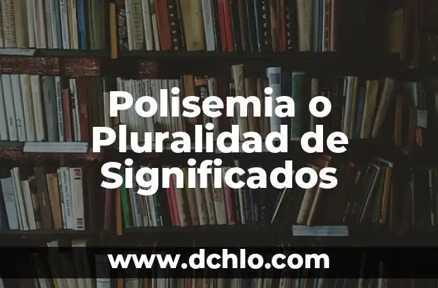 Significado del Valor de Pluralidad 7 Polisemia o Pluralidad de Significados
