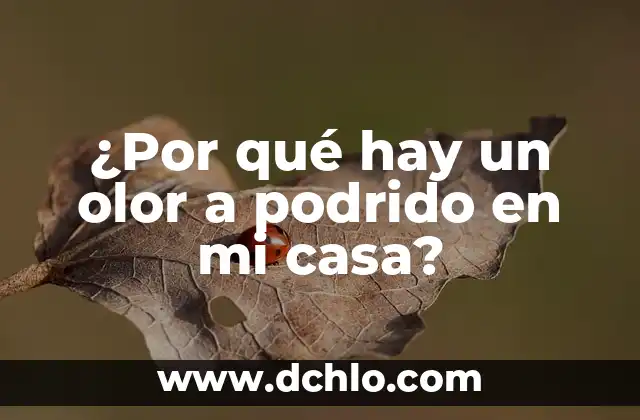 Cómo Acabar con las Hormigas en Casa para Siempre - Guía Definitiva 6 ¿Por qué hay un olor a podrido en mi casa?