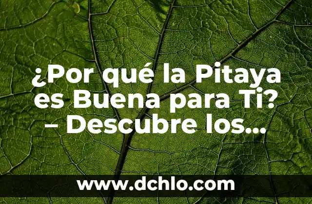¿Es buena la avena para adelgazar? 7 ¿Por qué la Pitaya es Buena para Ti? – Descubre los Beneficios de esta Fruta Exótica