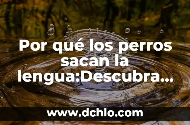 El significado detrás de las canciones de Megadeth 5 Por qué los perros sacan la lengua:Descubra el secreto detrás de este comportamiento