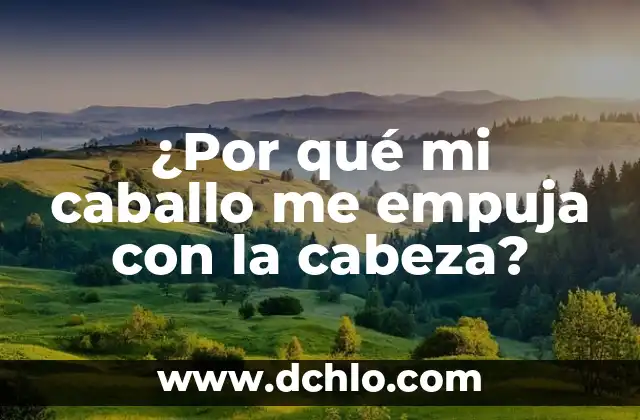 Significado del Caballo de Bastos 6 ¿Por qué mi caballo me empuja con la cabeza?