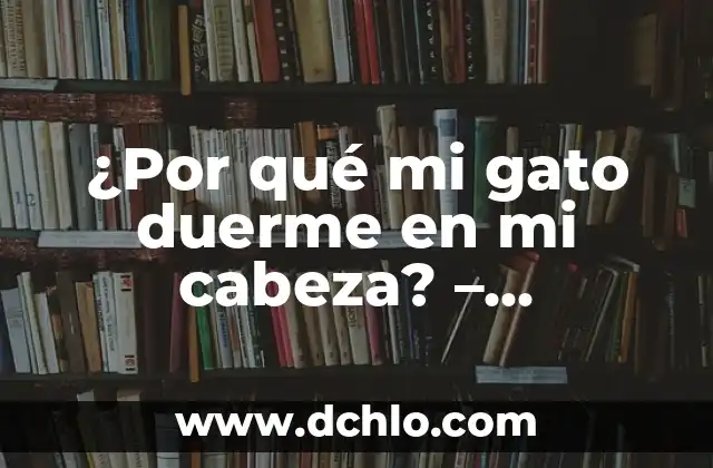 Cómo Quitar el Dolor de Cabeza de Forma Natural y Efectiva 4 ¿Por qué mi gato duerme en mi cabeza? – Descubre las razones detrás de este comportamiento adorable
